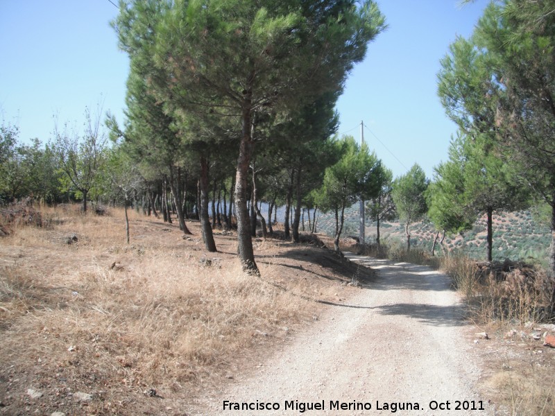 Cerro de Chiclana - Cerro de Chiclana. 