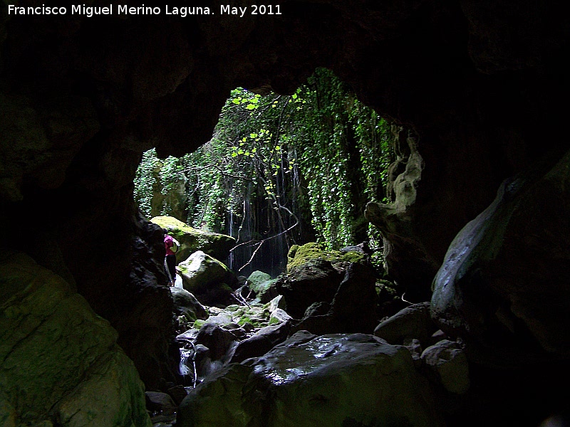 Cueva de Cuadros - Cueva de Cuadros. 