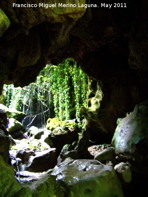 Cueva de Cuadros - Cueva de Cuadros. 
