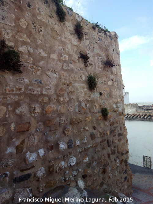 Muralla de la Villa. Torren Baluarte - Muralla de la Villa. Torren Baluarte. Lateral