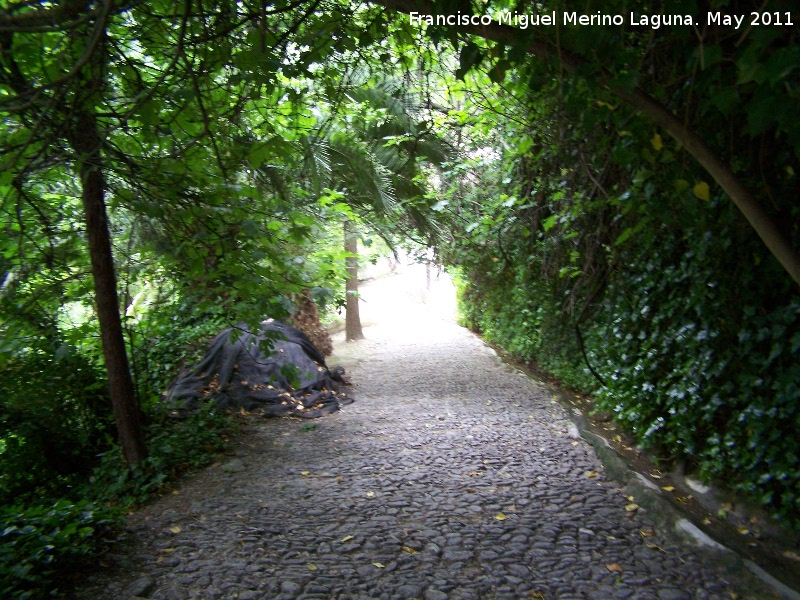 Molino del Batn - Molino del Batn. Camino del molino