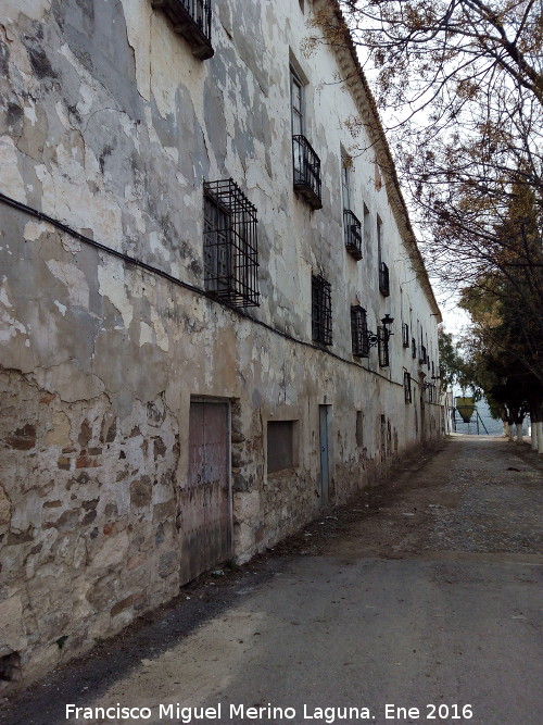 Palacio de los Marqueses de Viana - Palacio de los Marqueses de Viana. Fachada principal