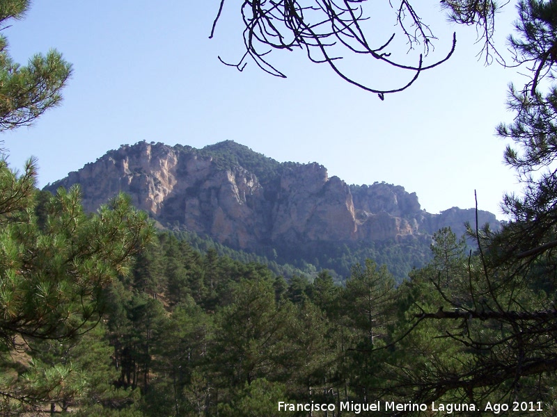 Paredes rocosas del Calar de Pea Rubia - Paredes rocosas del Calar de Pea Rubia. 