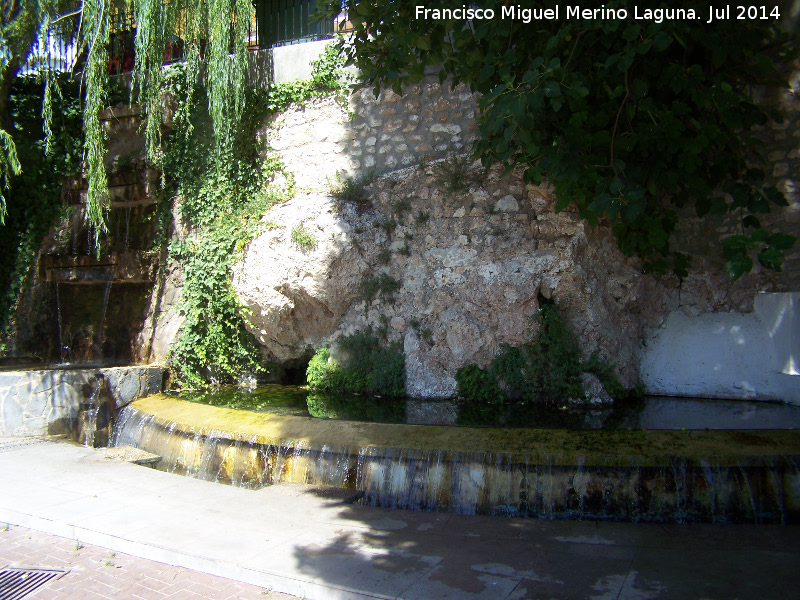 Nacimiento de La Moraleda - Nacimiento de La Moraleda. 