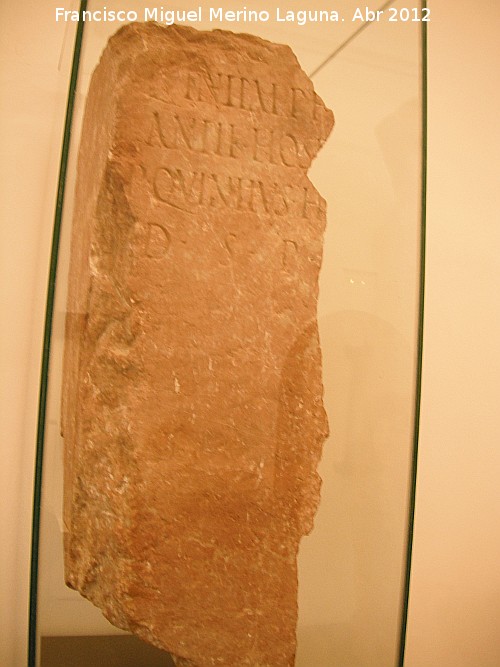 Historia de Antequera - Historia de Antequera. Inscripcin romana. Museo Municipal