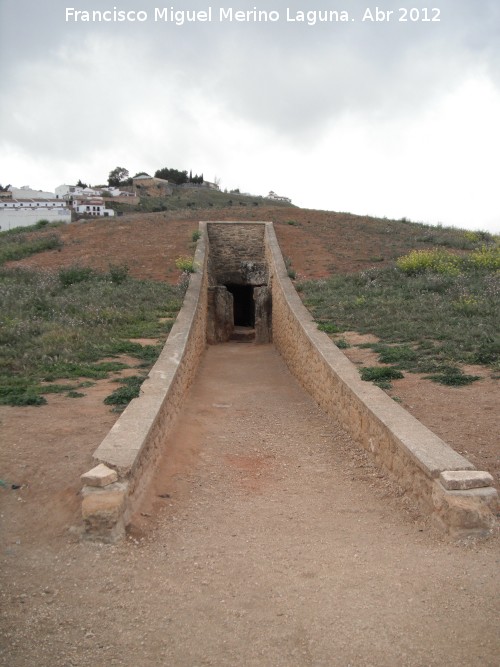 Dolmen de Viera - Dolmen de Viera. 