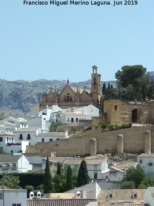 Colegiata Santa Mara la Mayor - Colegiata Santa Mara la Mayor. Desde el Mirador del Parking Centro