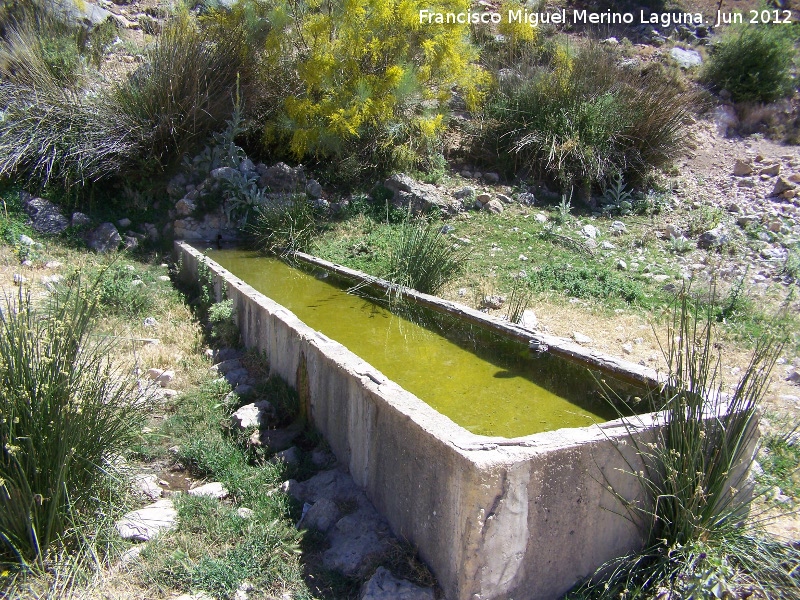 Fuente del Puerto - Fuente del Puerto. 