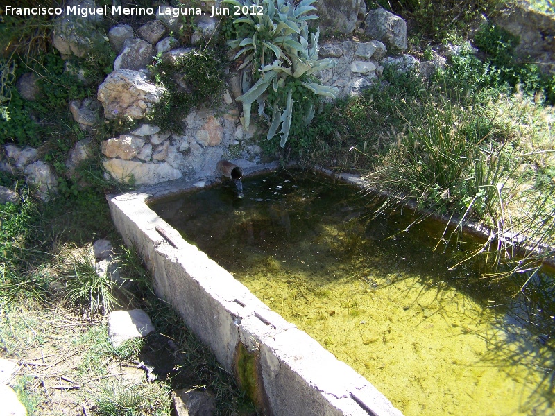 Fuente del Puerto - Fuente del Puerto. Cao