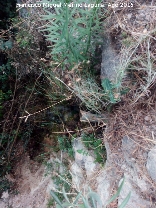 Fuente el Albercn - Fuente el Albercn. 