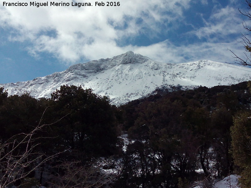 Almadn - Almadn. Desde el Sendero de Fuenmayor