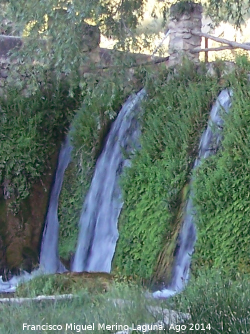 Nacimiento de Arbuniel - Nacimiento de Arbuniel. Cascadas