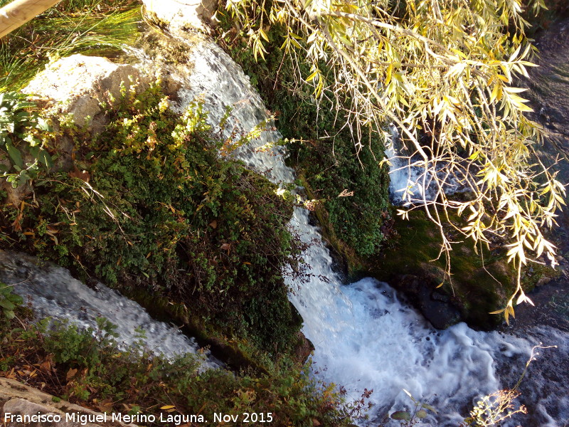 Nacimiento de Arbuniel - Nacimiento de Arbuniel. Cascada