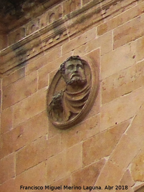 Tondo - Tondo. Catedral Nueva de Salamanca