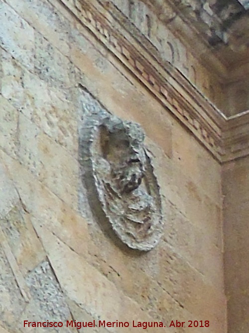 Tondo - Tondo. Catedral Nueva de Salamanca