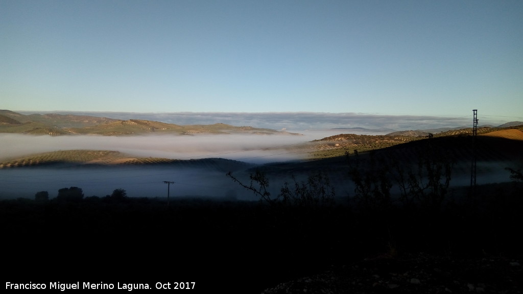 Niebla - Niebla. Limones - Mocln