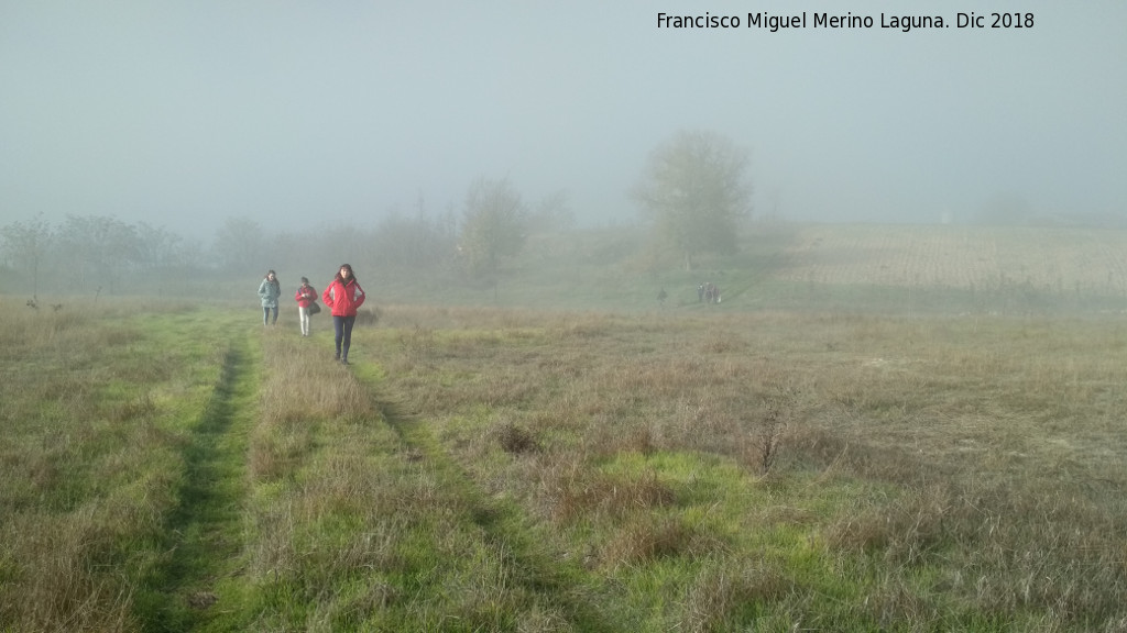 Niebla - Niebla. Ojod del Guadiana - Daimiel