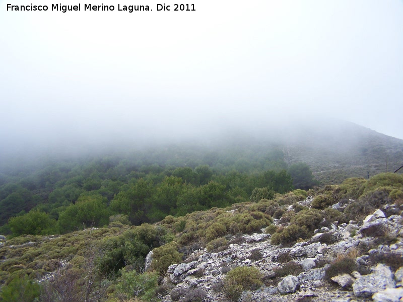 Niebla - Niebla. Puerto del Aire - Jan