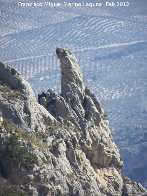 Cerro Salto de la Yegua - Cerro Salto de la Yegua. Pen de la vertiente Este