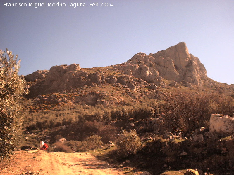 Cerro Lagunillas - Cerro Lagunillas. 