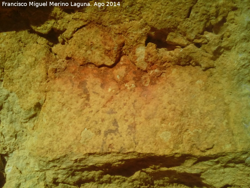 Pinturas rupestres de la Cueva del Contadero - Pinturas rupestres de la Cueva del Contadero. 