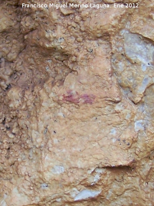 Pinturas rupestres de la Cueva del Contadero - Pinturas rupestres de la Cueva del Contadero. Barra
