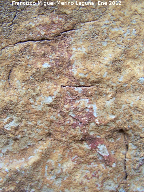 Pinturas rupestres de la Cueva del Contadero - Pinturas rupestres de la Cueva del Contadero. 