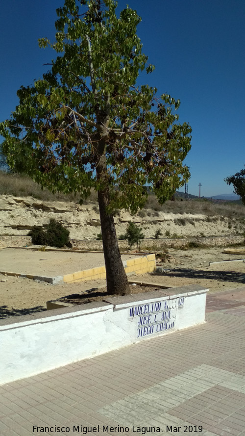 Paseo Virgen de la Consolacin - Paseo Virgen de la Consolacin. 