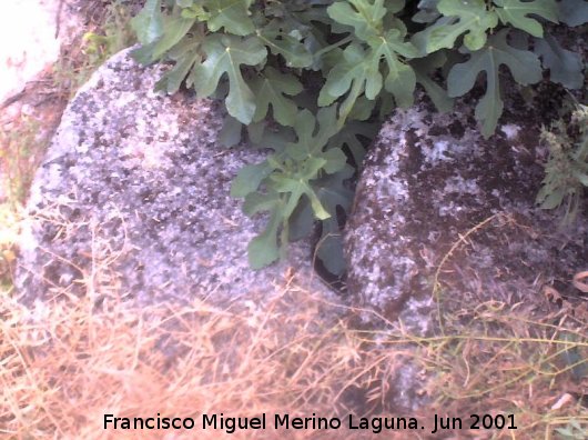 Molinillo - Molinillo. Piedras de molino