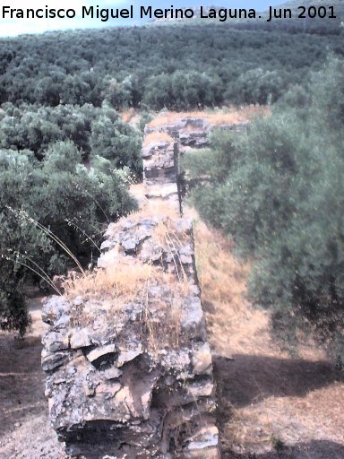 Acueducto del Molinillo - Acueducto del Molinillo. 