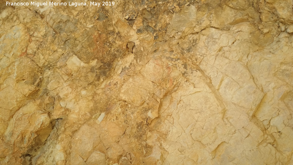Pinturas rupestres de la Cueva Oeste del Canjorro - Pinturas rupestres de la Cueva Oeste del Canjorro. Parte del panel