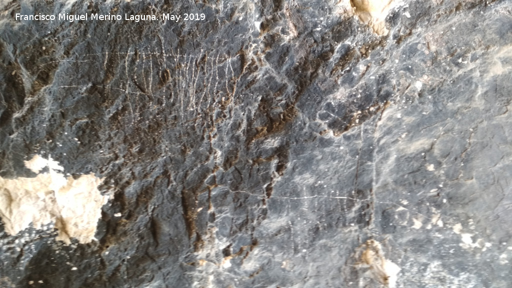 Pinturas rupestres de la Cueva Oeste del Canjorro - Pinturas rupestres de la Cueva Oeste del Canjorro. Grabados
