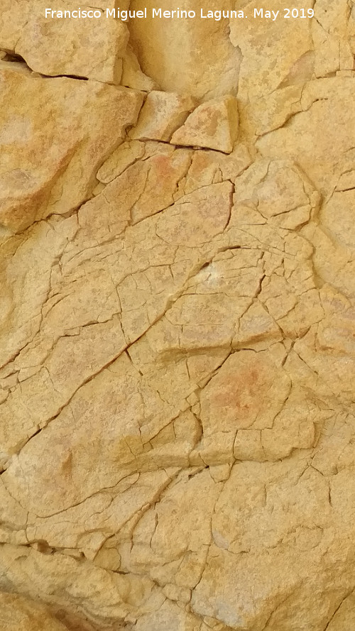 Pinturas rupestres de la Cueva Oeste del Canjorro - Pinturas rupestres de la Cueva Oeste del Canjorro. 