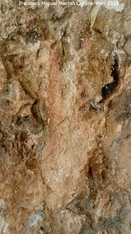 Pinturas rupestres de la Cueva Oeste del Canjorro - Pinturas rupestres de la Cueva Oeste del Canjorro. 