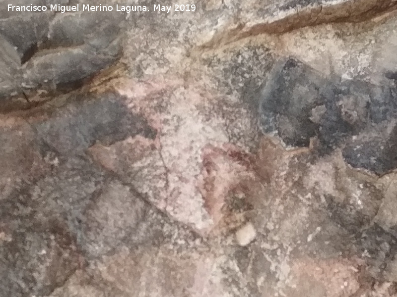 Pinturas rupestres de la Cueva Oeste del Canjorro - Pinturas rupestres de la Cueva Oeste del Canjorro. 