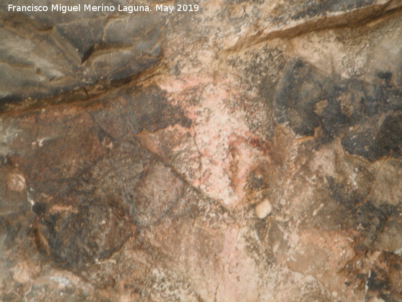 Pinturas rupestres de la Cueva Oeste del Canjorro - Pinturas rupestres de la Cueva Oeste del Canjorro. 