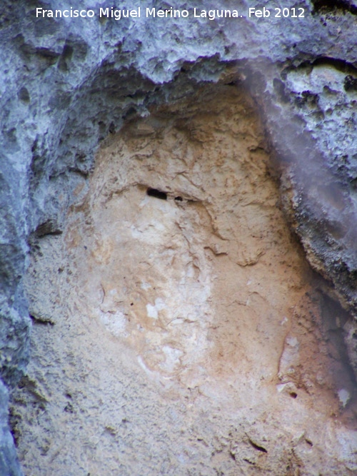 Pinturas rupestres del Abrigo Oeste del Canjorro II - Pinturas rupestres del Abrigo Oeste del Canjorro II. Abrigo