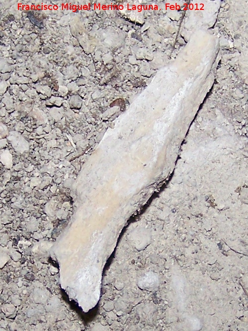 Cueva Baja del Canjorro - Cueva Baja del Canjorro. 