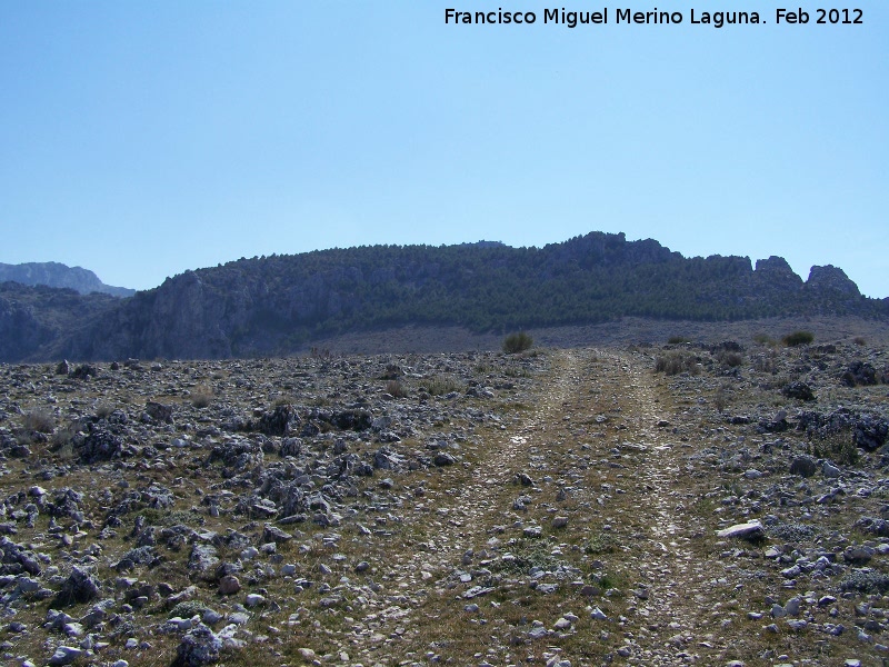 Llano de Mingo - Llano de Mingo. 