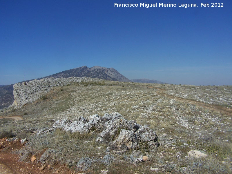 Llano de Mingo - Llano de Mingo. 