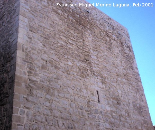 Castillo de Pallars - Castillo de Pallars. Torre del Homenaje