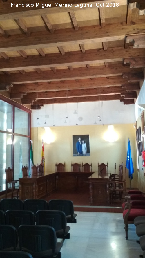 Palacio Ducal de Medinaceli - Palacio Ducal de Medinaceli. Saln de plenos