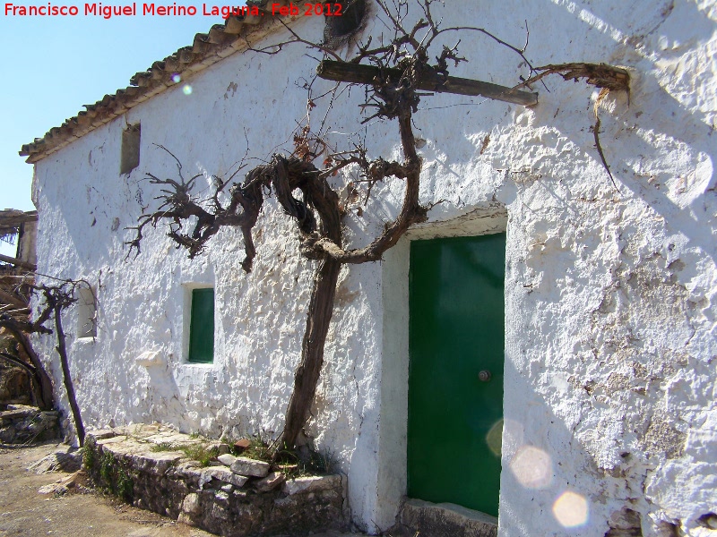 Cortijo de Manuel Garca Lzaro - Cortijo de Manuel Garca Lzaro. Fachada