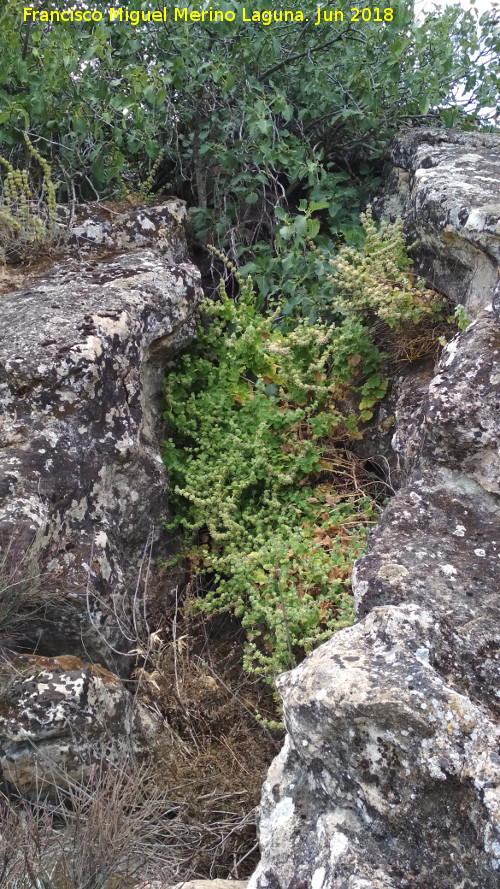 Pea de la Grieta - Pea de la Grieta. Grieta