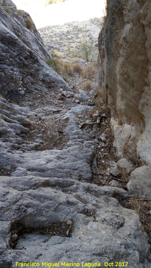 Cerro Cuevas del Aire - Cerro Cuevas del Aire. Canuto de las paredes rocosas que dan a Bedmar
