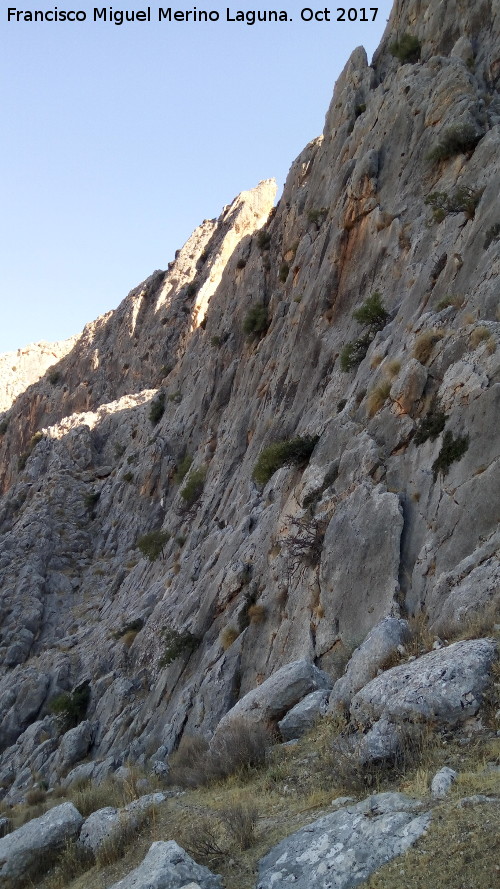 Cerro Cuevas del Aire - Cerro Cuevas del Aire. Paredes rocosas que dan a Bedmar