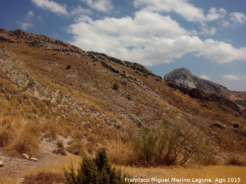 Cerro Alto de la Serrezuela - Cerro Alto de la Serrezuela. Ladera sureste