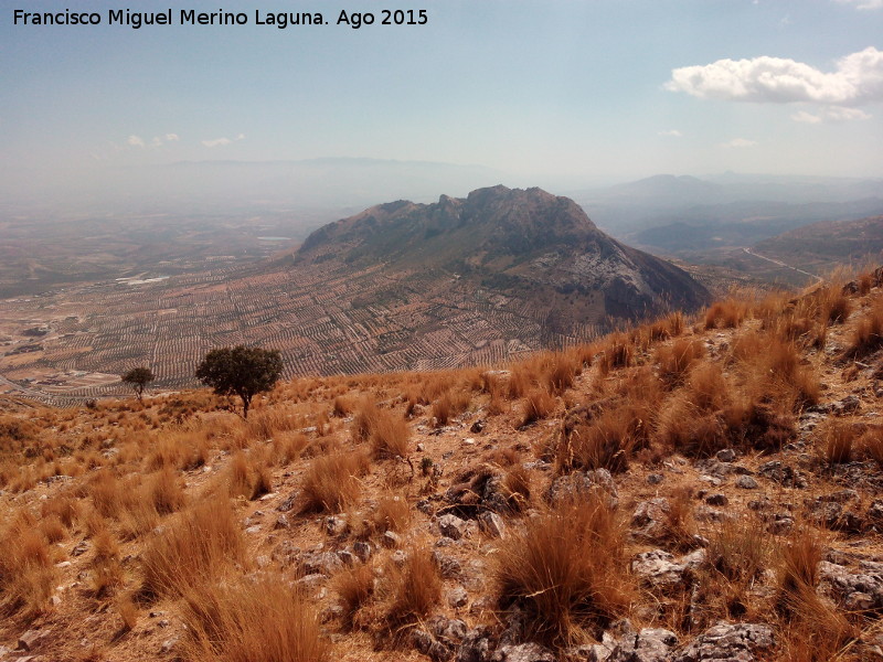 Sierra de la Golondrina - Sierra de la Golondrina. Desde la Serrezuela de Bedmar