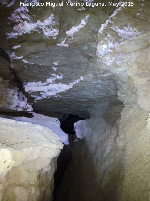 Cueva del Plato - Cueva del Plato. Galera