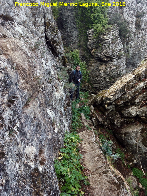 Cueva del Plato - Cueva del Plato. Cornisa escalonada del camino prehistrico a la cueva